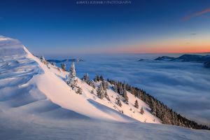 Winter alpenglow.jpg